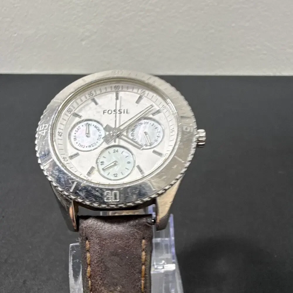 Fossil up auction